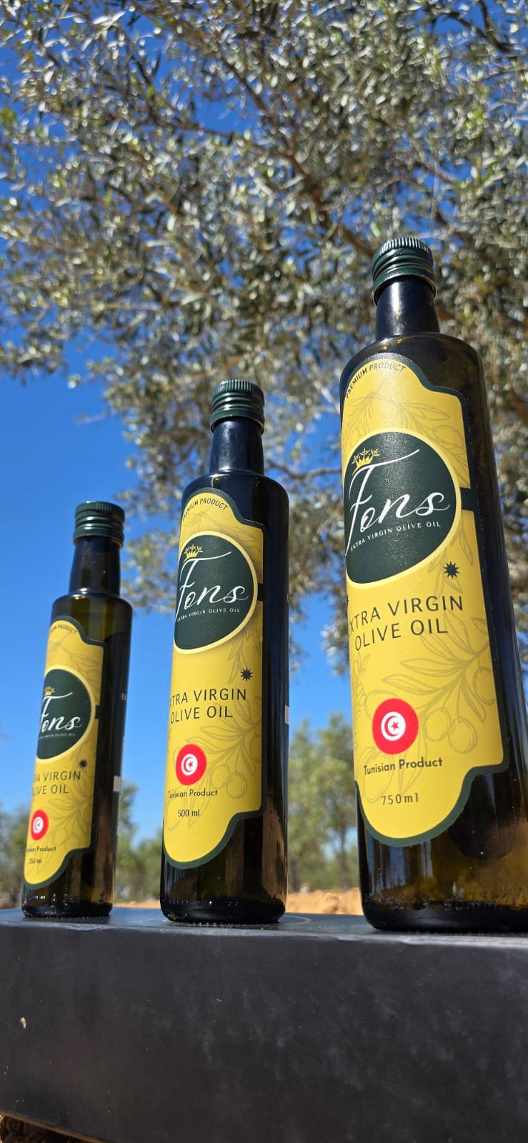 FONS — Bouteille premium